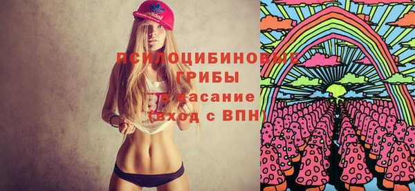 твердый Балахна