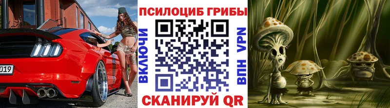 закладки  hydra ONION  Галлюциногенные грибы Psilocybe  Заречный 